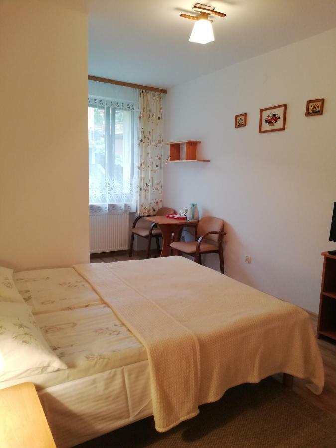 Arnika Apartment Krynica Zdroj Room photo